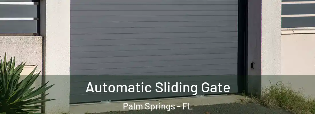  Automatic Sliding Gate Palm Springs - FL